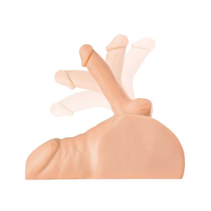 PDX Plus Perfect Ride 